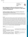 Re-Investigating the Basement Membrane Zone of Psoriatic Epidermal Lesions: Is Laminin-511 a New Player in Psoriasis Pathogenesis?
