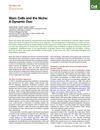 Stem Cells and the Niche: A Dynamic Duo