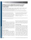 Evidence for Two Independent Functional Variants for Androgenetic Alopecia Around the Androgen Receptor Gene