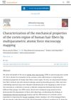 Characterization of the Mechanical Properties of the Cortex Region of Human Hair Fibers by Multiparametric Atomic Force Microscopy Mapping