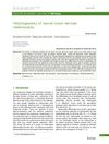 Heterogeneity of Neural Crest-Derived Melanocytes