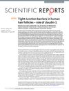 Tight Junction Barriers in Human Hair Follicles – Role of Claudin-1