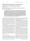 Perifollicular Fibrosis: Pathogenetic Role in Androgenetic Alopecia