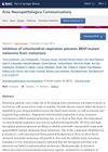 Inhibition of Mitochondrial Respiration Prevents BRAF-Mutant Melanoma Brain Metastasis