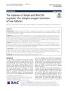 The Balance of BMP6 and WNT10B Regulates the Telogen-Anagen Transition of Hair Follicles