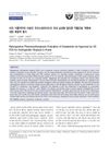 Retrospective Pharmacotherapeutic Evaluation of Dutasteride Not Approved by US FDA for Androgenetic Alopecia in Korea