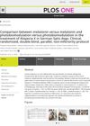 Comparison Between Melatonin, Melatonin and Photobiomodulation, and Photobiomodulation in the Treatment of Alopecia X in German Spitz Dogs: Clinical, Randomized, Double-Blind, Parallel, Non-Inferiority Protocol