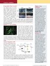 Clinical Snippets: R-Spondin2 Amplifies Wnt Signaling for Hair Growth, Gene Expression Differences in Balding Scalp, IKB Regulates hBD2 in Psoriasis, ß-Defensin Gene Cluster and Hidradenitis Suppurativa, Autoantigen Epitopes in Alopecia Areata