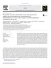 The Possible Implication of the S250C Variant of the Autoimmune Regulator Protein in a Patient with Autoimmunity and Immunodeficiency: In Silico Analysis Suggests a Molecular Pathogenic Mechanism for the Variant