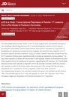 p53 Is a Direct Transcriptional Repressor of Keratin 17: Lessons from a Rat Model of Radiation Dermatitis