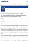 Hair Regrowth with Micrografts Enriched with Human Follicle Mesenchymal Stem Cells and Platelet-Rich Plasma