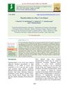 Hypothyroidism in a Dog: A Case Report