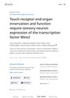 Author Response: Touch Receptor End-Organ Innervation and Function Require Sensory Neuron Expression of the Transcription Factor Meis2