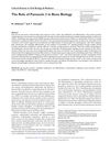 The Role of Pannexin 3 in Bone Biology