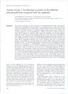 Activity of Type 1 5α-Reductase Is Greater in the Follicular Infrainfundibulum Compared with the Epidermis