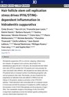 Hair Follicle Stem Cell Replication Stress Drives IFI16/STING-Dependent Inflammation in Hidradenitis Suppurativa