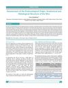 Assessment of the Embryological Origin, Anatomical and Histological Structure of the Skin