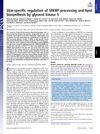 Skin-Specific Regulation of SREBP Processing and Lipid Biosynthesis by Glycerol Kinase 5