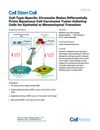 Cell-Type-Specific Chromatin States Differentially Prime Squamous Cell Carcinoma Tumor-Initiating Cells for Epithelial to Mesenchymal Transition