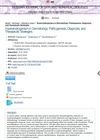 Hyperandrogenism in Dermatology: Pathogenesis, Diagnosis, and Therapeutic Strategies