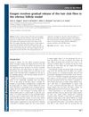 Exogen Involves Gradual Release of the Hair Club Fiber in the Vibrissa Follicle Model