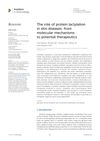 The Role of Protein Lactylation in Skin Diseases: From Molecular Mechanisms to Potential Therapeutics