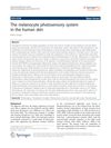 The Melanocyte Photosensory System in Human Skin
