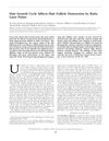 Hair Growth Cycle Affects Hair Follicle Destruction by Ruby Laser Pulses