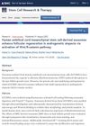 Human Umbilical Cord Mesenchymal Stem Cell-Derived Exosomes Enhance Follicular Regeneration in Androgenetic Alopecia via Activation of Wnt/β-Catenin Pathway