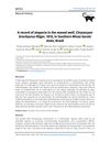 A Record of Alopecia in the Maned Wolf, Chrysocyon Brachyurus Illiger, 1815, in Southern Minas Gerais State, Brazil
