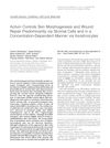 Activin Controls Skin Morphogenesis and Wound Repair Predominantly via Stromal Cells and in a Concentration-Dependent Manner via Keratinocytes