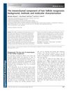 The Mesenchymal Component of Hair Follicle Neogenesis: Background, Methods, and Molecular Characterization