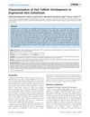 Characterization of Hair Follicle Development in Engineered Skin Substitutes