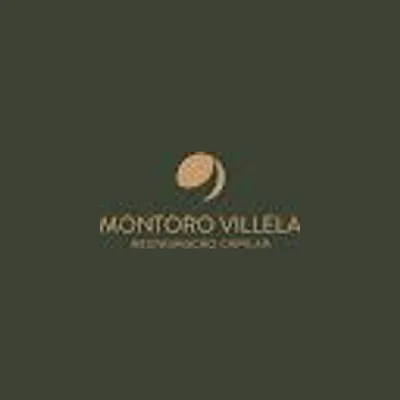 Clínica Montoro Villela – Restauração e Transplante Capilar FUE