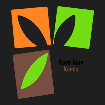 Root Hair Transplant Korea