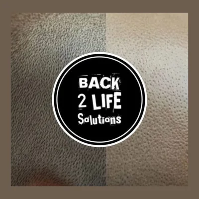 Back 2 Life SMP