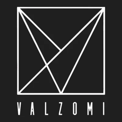 VALZOMI SISTEMAS CAPILARES