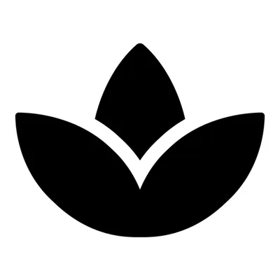 Rejuvenrosa