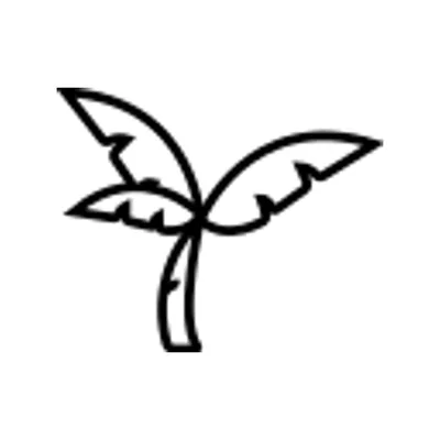 Raydiant Brows cosmetic tattoo & skin studio