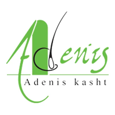 Adonis Hair Transplant