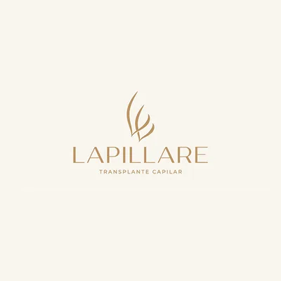 Lapillare
