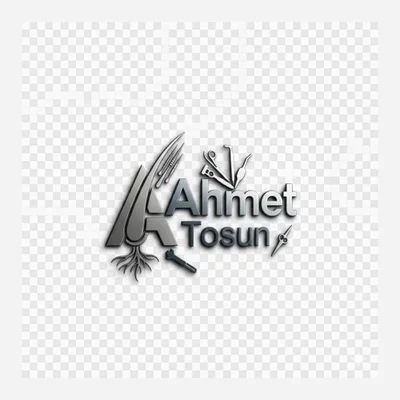The Hair Ahmet Tosun Saç Ekimi ( İstanbul)