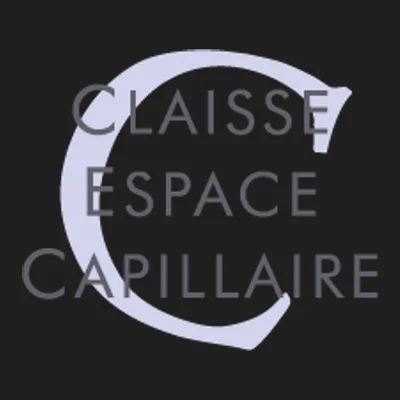 Claisse Espace Capillaire/Prothèses Capillaires/coiffeuse