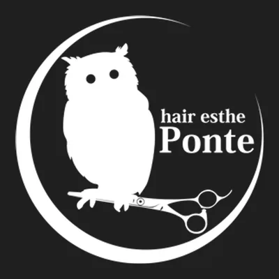 Ponte Hair Esthetic Salon