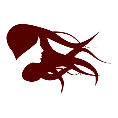 Premier Hair Salon & Wig Studio