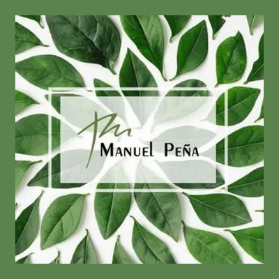 Manuel Peña Salón