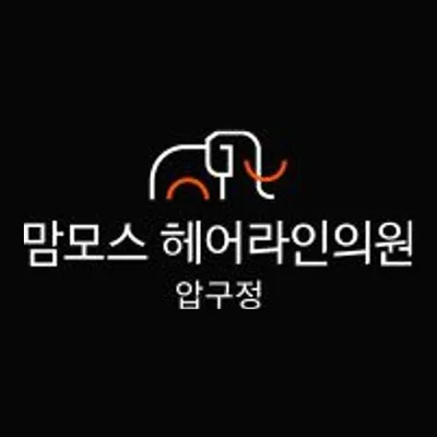 Apgujeong Mammoth Hair Line Clinic