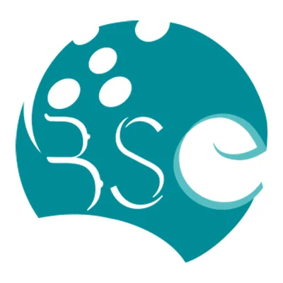 Brussels Surgical & Esthetic Center