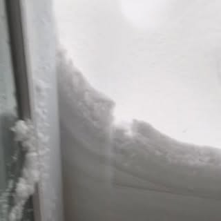 #stormday #pitbulllife