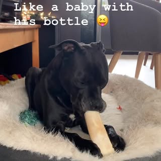 Like a baby with his bottle! 😝